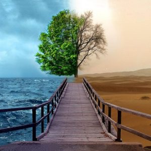 Depression CBT Self Help Guide